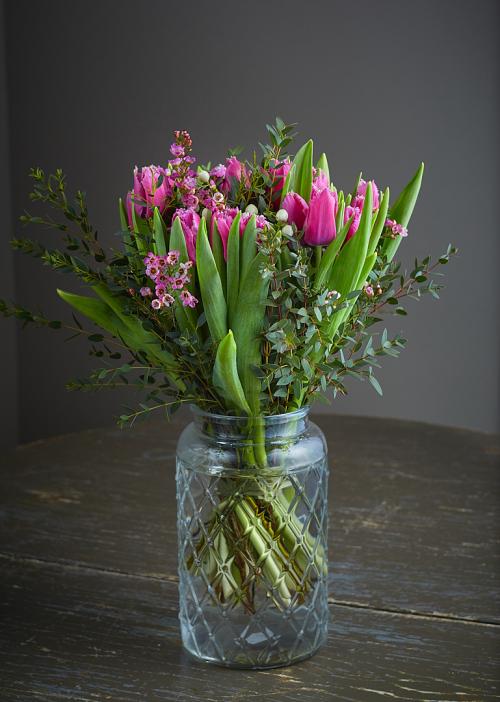 Purple Tulips