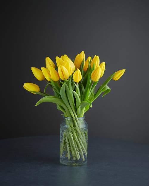 Yellow Tulips